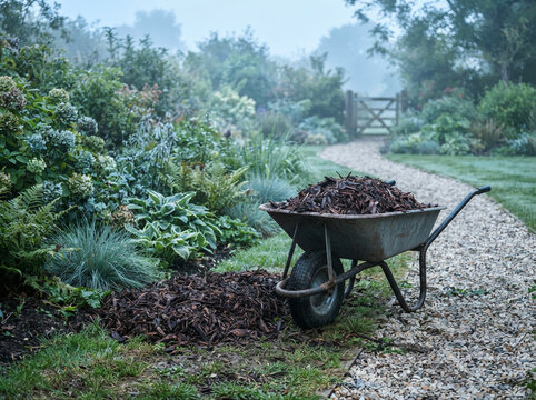 Leaf filled wheelbarrow spills beside a misty gravel path leading to a garden gate