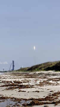 A rocket rises from a coastal launch site beyond a sandy beach with white ibis birds. The launch tower, dunes, seaweed, bright sky, and wildlife create a dramatic Florida space coast scene.