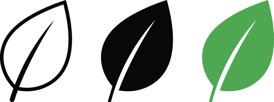 Three variations of a leaf icon, featuring outline, solid black, and solid green styles, isolated on a clean white background
