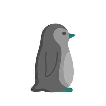 Flat design penguin illustration