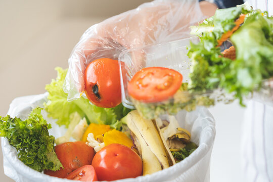 Compost from leftover food housekeeper hand in plastic glove holding tomato take out of food container throwing away organic vegetable waste into garbage, trash or bin. Environmentally responsible.