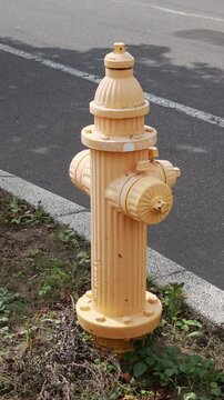 Yellow fire hydrant on pavement, Hakodate, Japan, 2026.09.09.