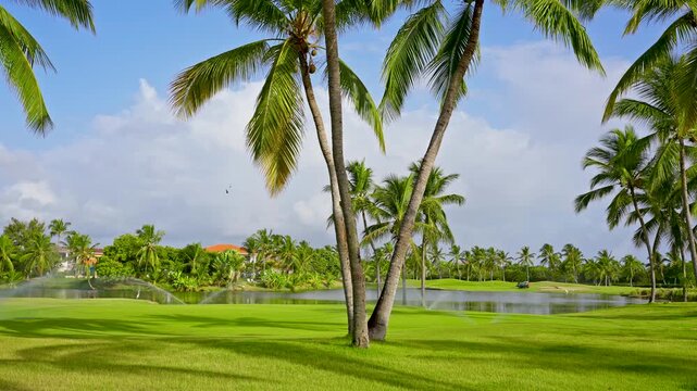A warm, sunny morning in a tropical summer park with palm trees. A small pond in the middle of a green golf course. A sports field for an exciting, elite game.