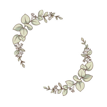 Eucalyptus branches decorative elements