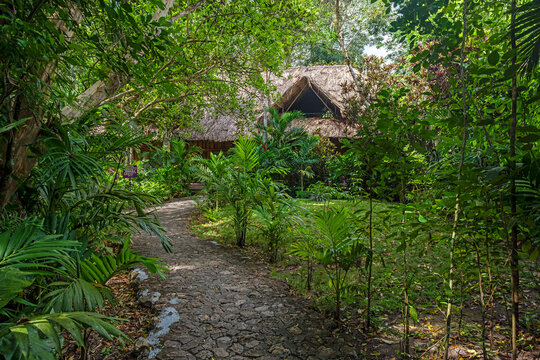 Path leading to bungalow in the Jungle Lodge, Tikal national park, Guatemala.