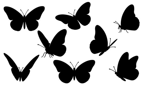 Butterfly Silhouette Vector Set &ndash; Black Butterfly Shapes Collection 