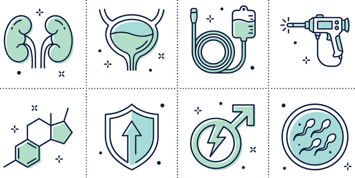 Urology and men health medical vector icon set featuring kidneys bladder catheter surgical shockwave therapy device testosterone molecule male fertility and sperm analysis