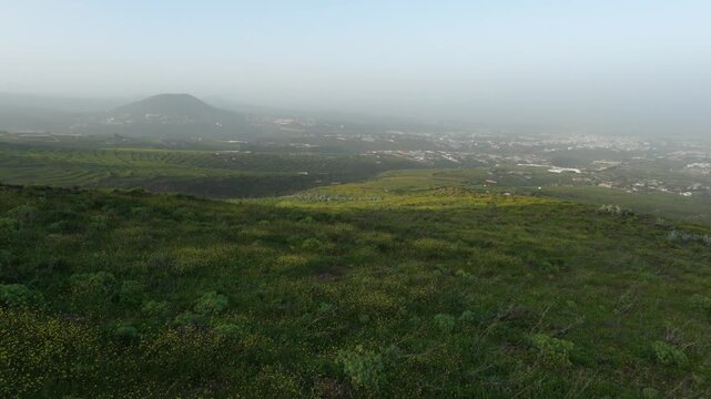 Panoramic view of a lush, blooming landscape on the island of Gran Canaria. The air is filled with hazy calima, creating a unique atmosphere