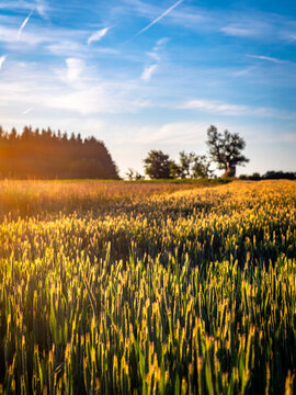 Baden-W&uuml;rttemberg am Abend