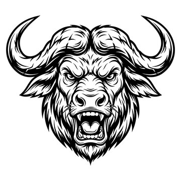 Aggressive black and white buffalo head illustration with fierce expression
