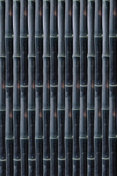 Dark Bamboo Stalks Repeating Vertical Pattern Natural Texture Background