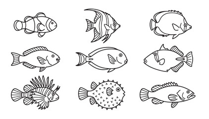 Obraz premium Tropical ocean fish
