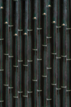 Dark Bamboo Stalks Repeating Vertical Pattern Natural Texture Background