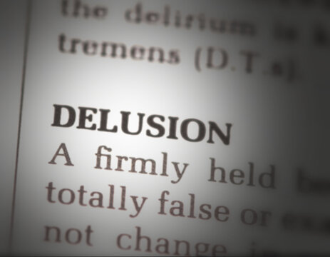 dictionary definition of the word delusion