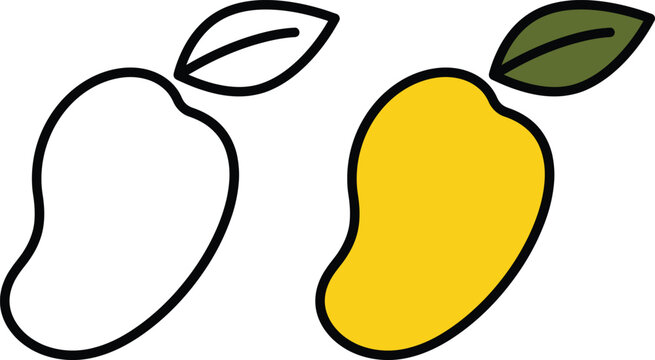Two mango illustrations one in color and one as a simple line drawing