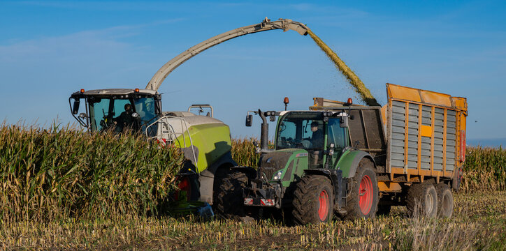 Hamburg, Germany - September 14, 2026: Claas Jaguar 960 maize chopper and FENDT Vario tractor with Veenhuis Super Silagewagon during the maize harvest
