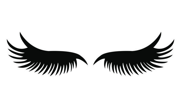 Pair of dramatic false eyelashes silhouette icon vector illustration