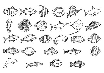 Obraz premium Sea Fish Black Line Art Collection – Hand Drawn Marine Life Vector Set