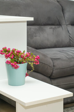 A Pernettya mucronata (Gaultheria mucronata) ornamental plant covered with clusters of vivid pink berries in a pastel green pot, placed on a white table against a contemporary gray sofa