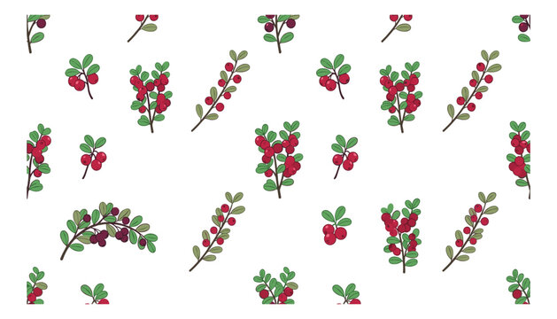 Red cranberry cowberry seamless pattern vector illustration background with green leaves branches on white background