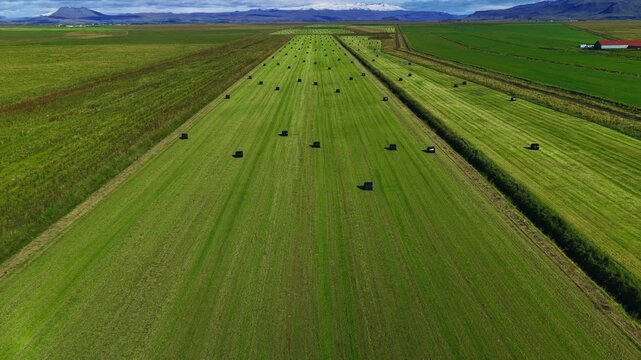 Aerial view of wrapped silage bales in Rangarthing eystra, Iceland.