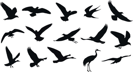 Obraz premium Flying bird silhouettes collection, set of 15 black avian vector icons, wild birds in flight and standing poses, isolated nature design elements