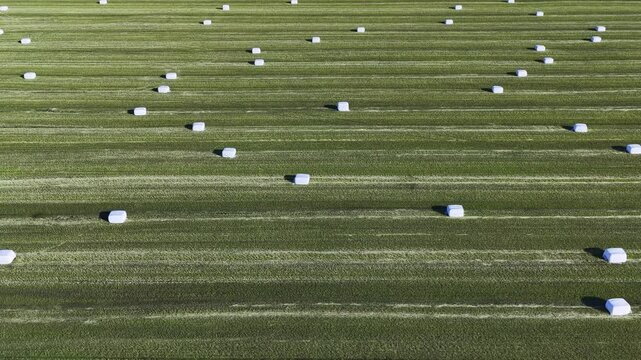 Aerial view of wrapped hay bales in a green field, Iceland.