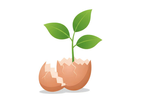 Green plant sprouting from a cracked egg