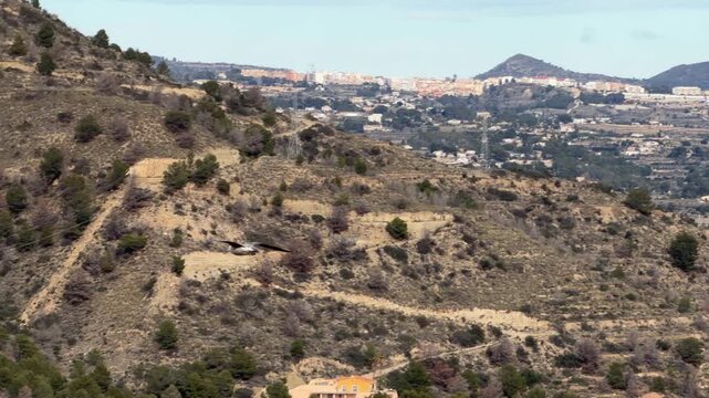 Panning shot tracking a seagull in flight over the rugged coastal landscape and historic Mediterranean urban sprawl of Calpe, Spain on a bright sunny day.