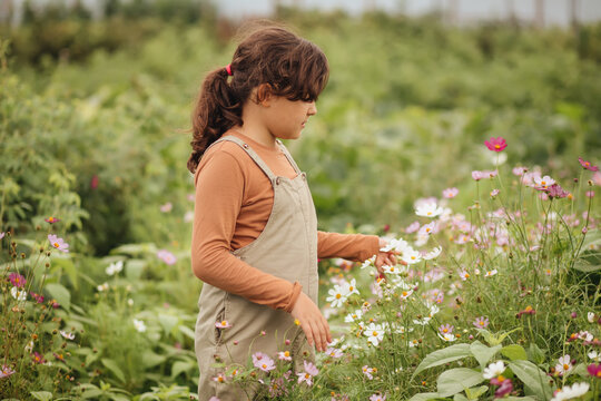 Girl admire flowers in a summer garden