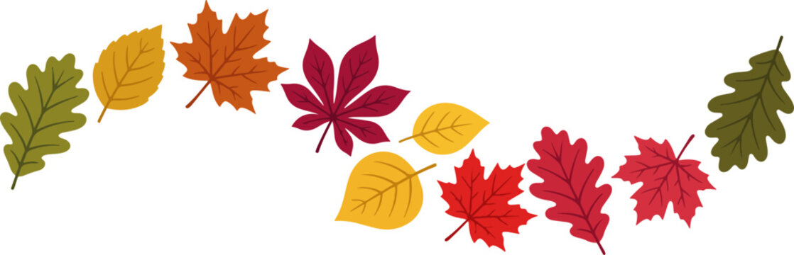 Autumn fall leaves collection in warm seasonal colors, colorful foliage elements for Thanksgiving, harvest, nature and seasonal design, editable vector