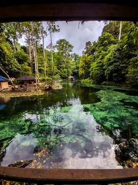 Clear blue-green waters of Tulung Ni Lenggo Lake in Berau, Indonesia