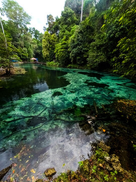 Clear blue-green waters of Tulung Ni Lenggo Lake in Berau, Indonesia