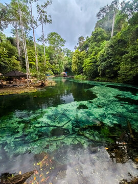 Clear blue-green waters of Tulung Ni Lenggo Lake in Berau, Indonesia