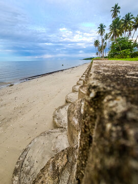 Tropical coastline with coconut trees and coastal protection wall in Talisayan, Berau, Indonesia
