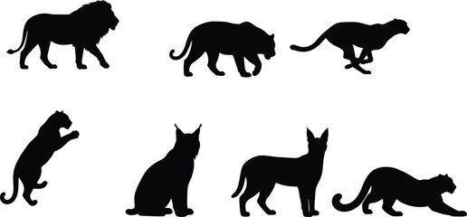 Obraz premium Set of black wild cat silhouettes isolated on white background for wildlife design projects