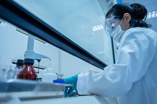 Female researcher handles toxic chemical samples inside a laboratory fume hood. Concept of chemical safety, hazardous substances, toxicology, scientific research, and exposure prevention.