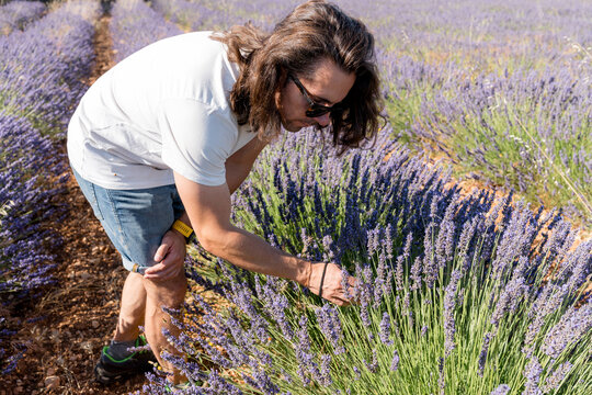 Man in lavender field with dreamy double exposure effect