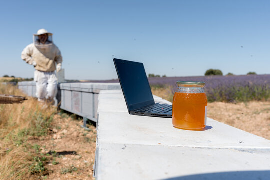 Laptop and honey jar on beehive in lavender field