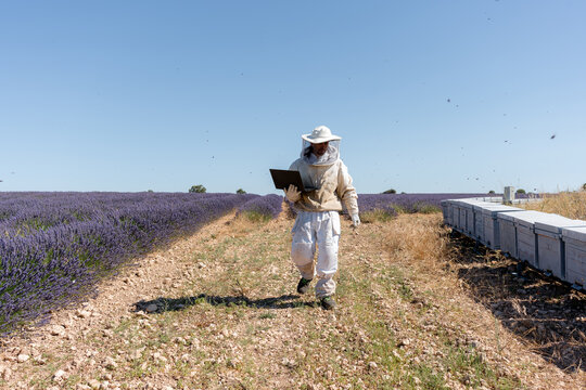Beekeeper tend hive beside lavender field under blue sky