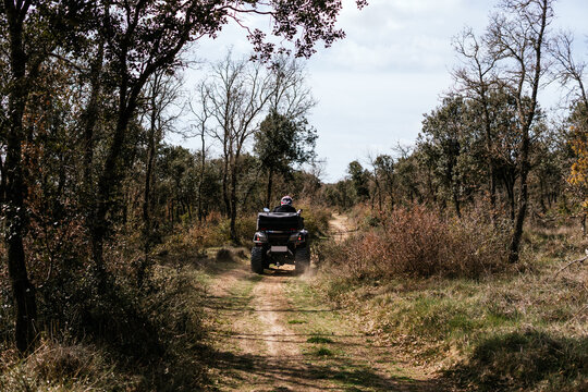 Quad rider enjoy off-road trail through woodland