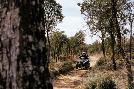 Quad rider enjoy off-road trail through woodland
