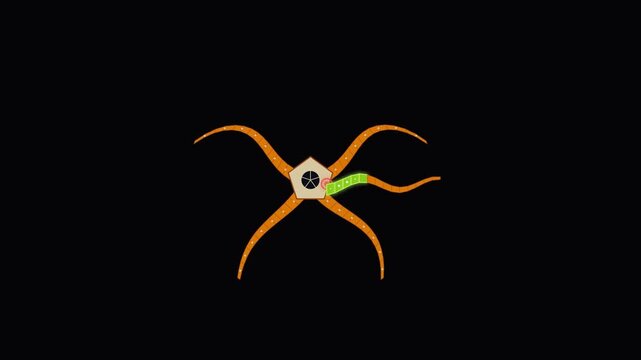 Abstract geometric creature illustration with tentacles and glowing center on black background