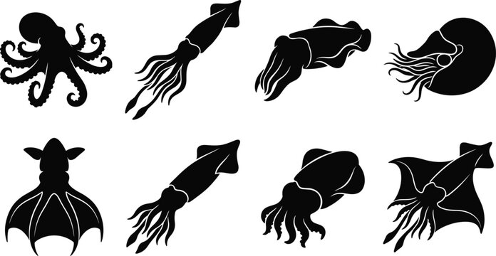 Silhouettes of Octopus Squid Nautilus and Cuttlefish Marine Animals