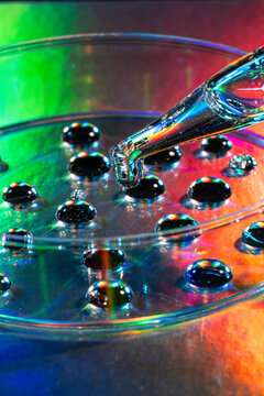 Macro petri dish with pipette and reflective water droplet