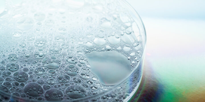 Macro view of condensation droplets in a petri dish