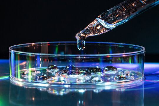 Macro view of pipette drop above petri dish