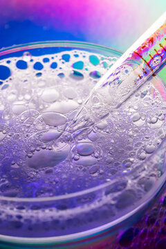 Macro view of pipette and bubbles in petri dish