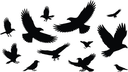 Fototapeta premium Black Eagle and Crow Silhouette Set Featuring Flying Birds of Prey and Ravens for Silhouette Crafts Halloween Graphics and Wildlife Vectors