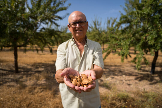 Senior farmer holding almonds in Mediterranean orchard